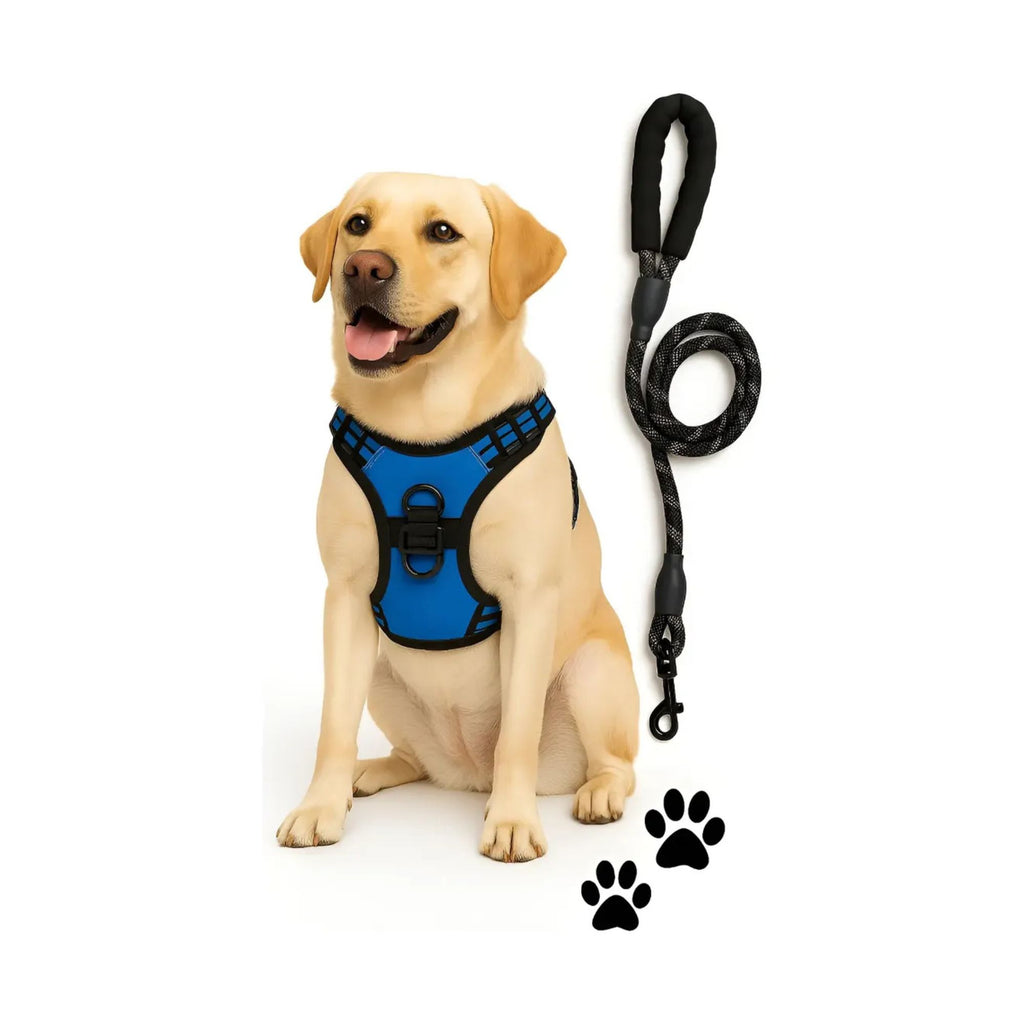 Pechera anti-tirones para perro con correa pretal