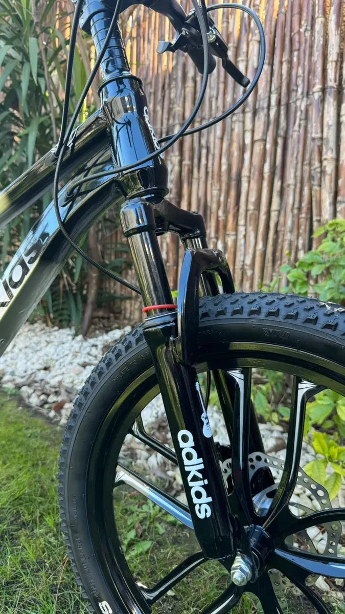 Bicicleta de montaña rodado 20 frenos disco 21 cambios