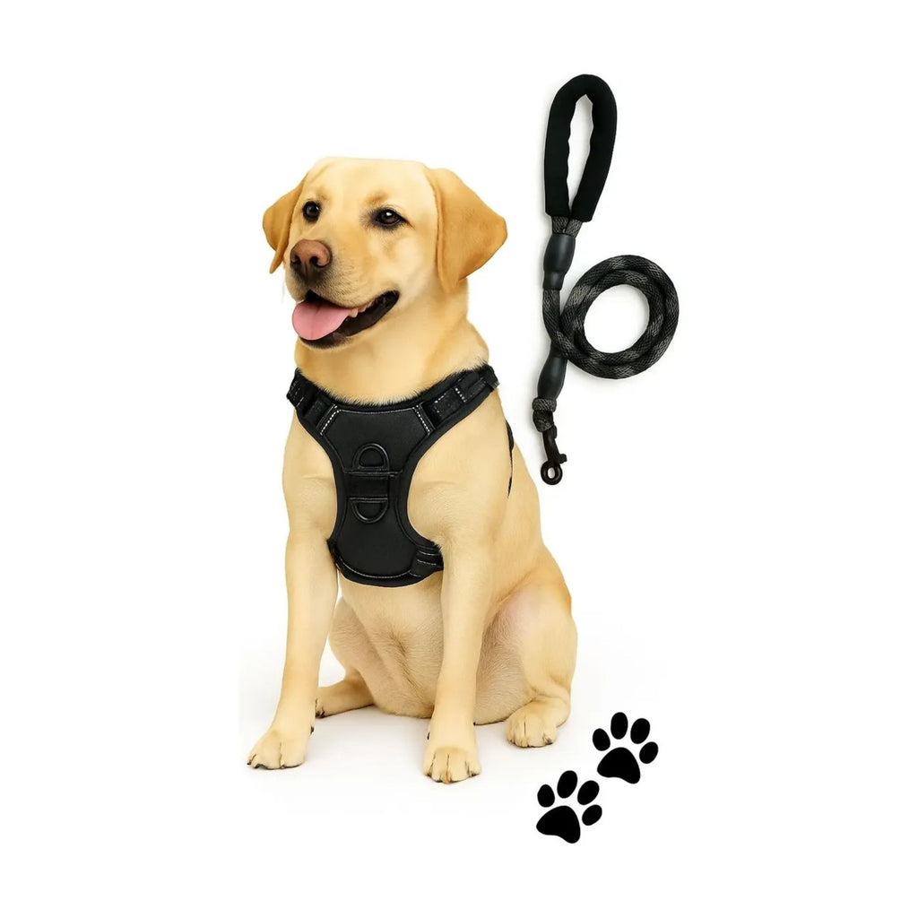 Pechera anti-tirones para perro con correa pretal