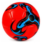 Pelota de Fútbol N°10