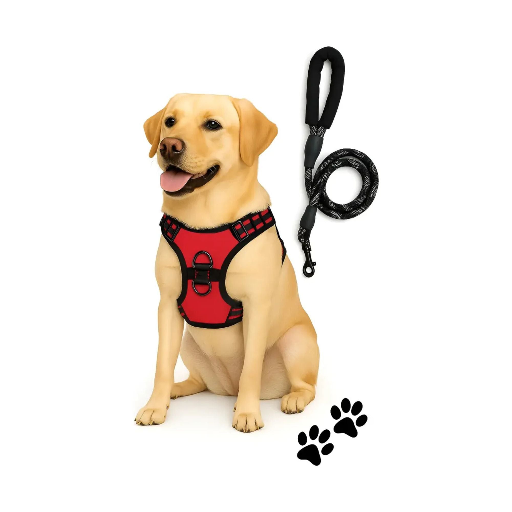 Pechera anti-tirones para perro con correa pretal