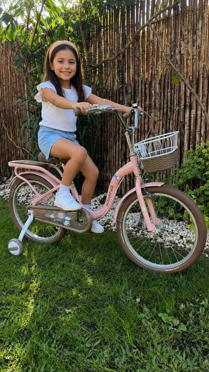 Bicicleta rodado 20 estilo Vintage con rueditas y canasto