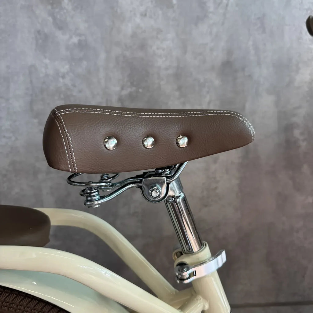Bicicleta rodado 20 estilo Vintage con rueditas y canasto