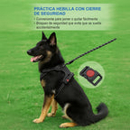 Pechera anti.tirones para perro con correa pretal