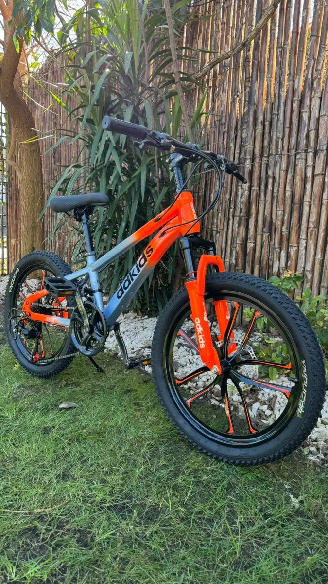 Bicicleta de montaña rodado 20 frenos disco 21 cambios