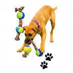 Juguete de cuerda con 2 pelotas para mascotas