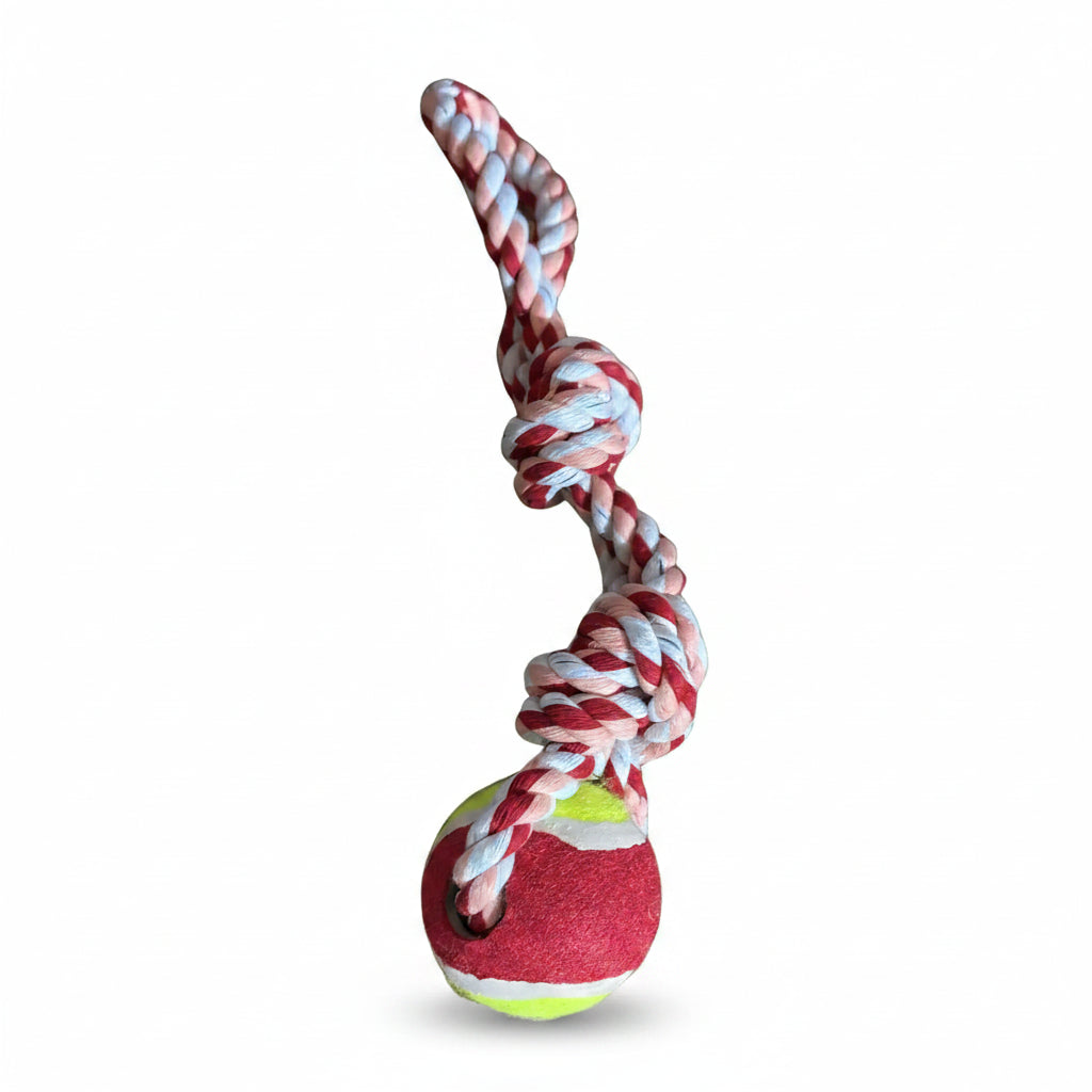 Juguete de cuerda con 1 pelota para mascotas
