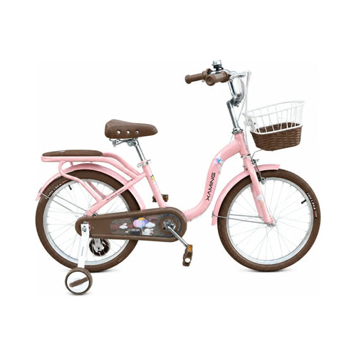 Bicicleta rodado 20 estilo Vintage con rueditas y canasto