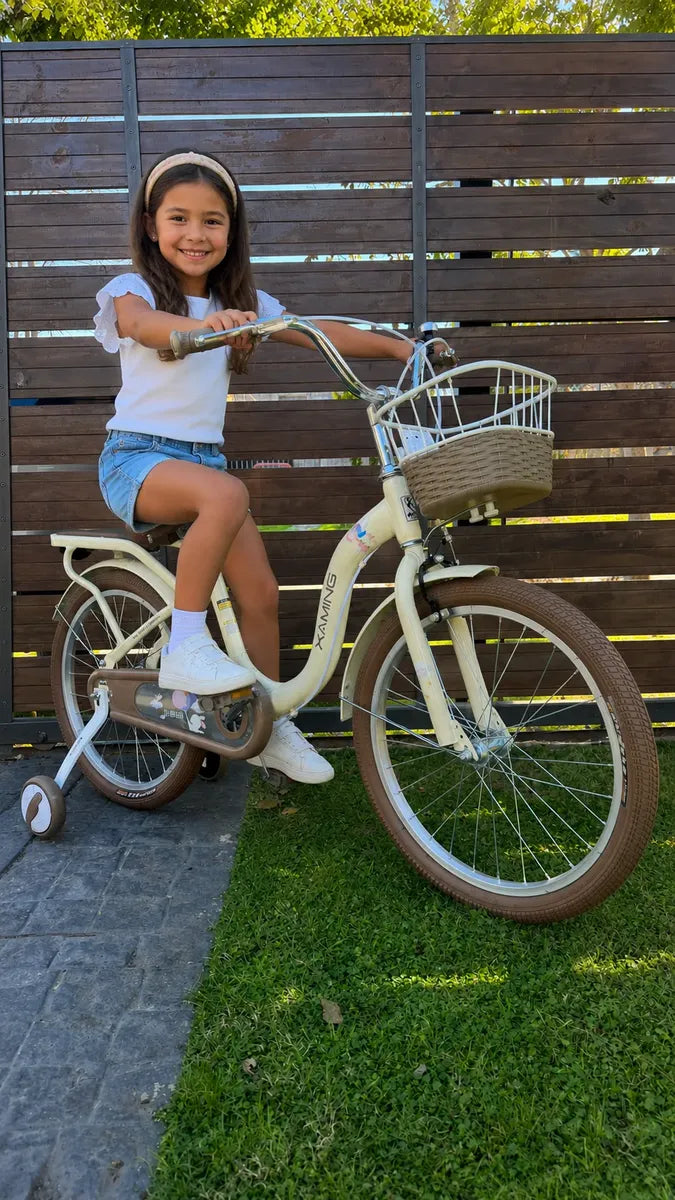Bicicleta rodado 20 estilo Vintage con rueditas y canasto