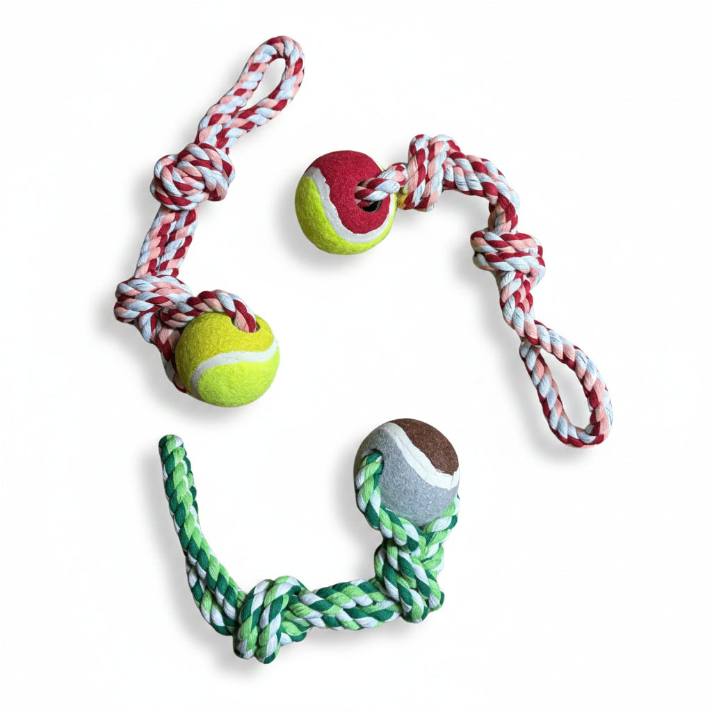 Juguete de cuerda con 1 pelota para mascotas