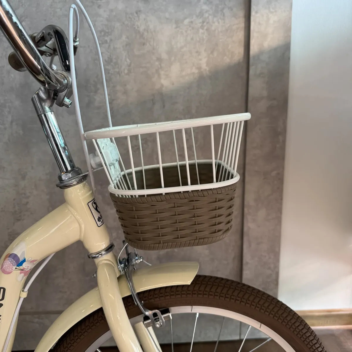 Bicicleta rodado 20 estilo Vintage con rueditas y canasto