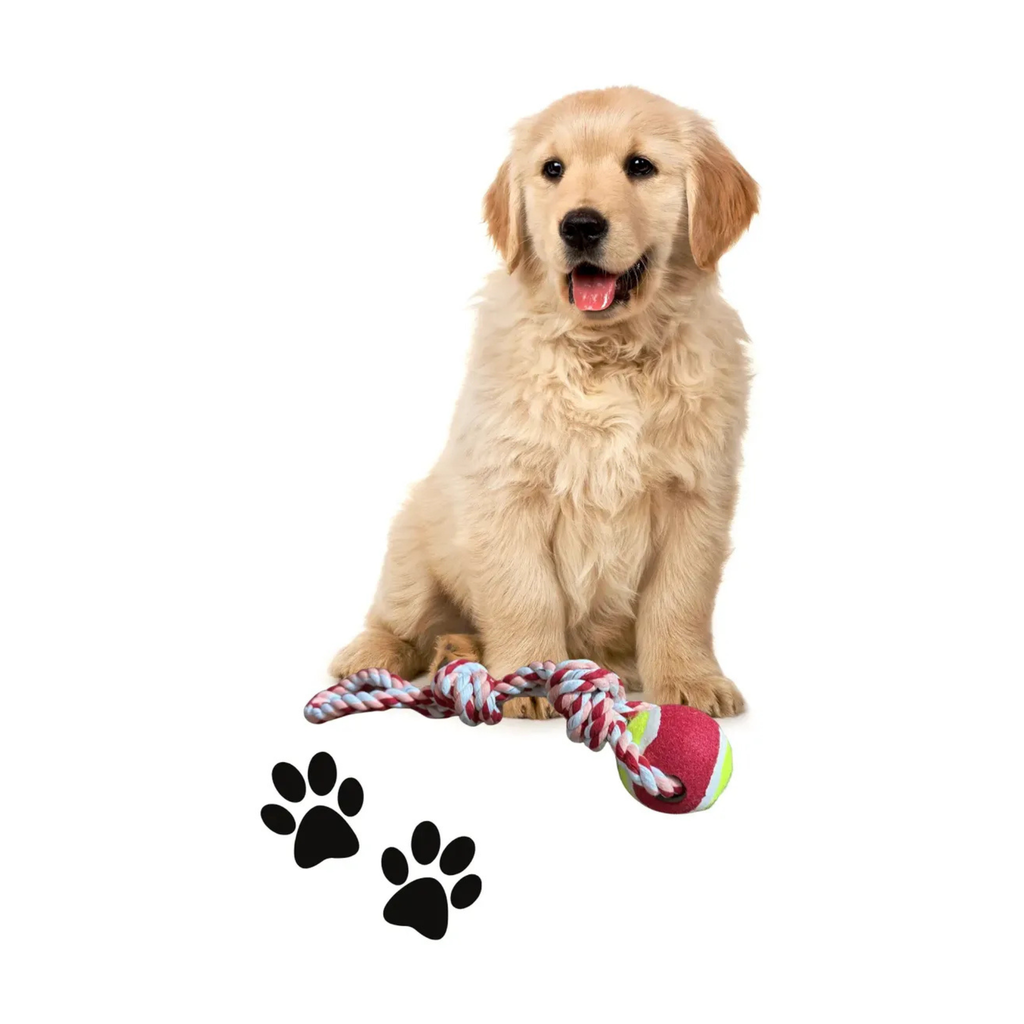 Juguete de cuerda con 1 pelota para mascotas