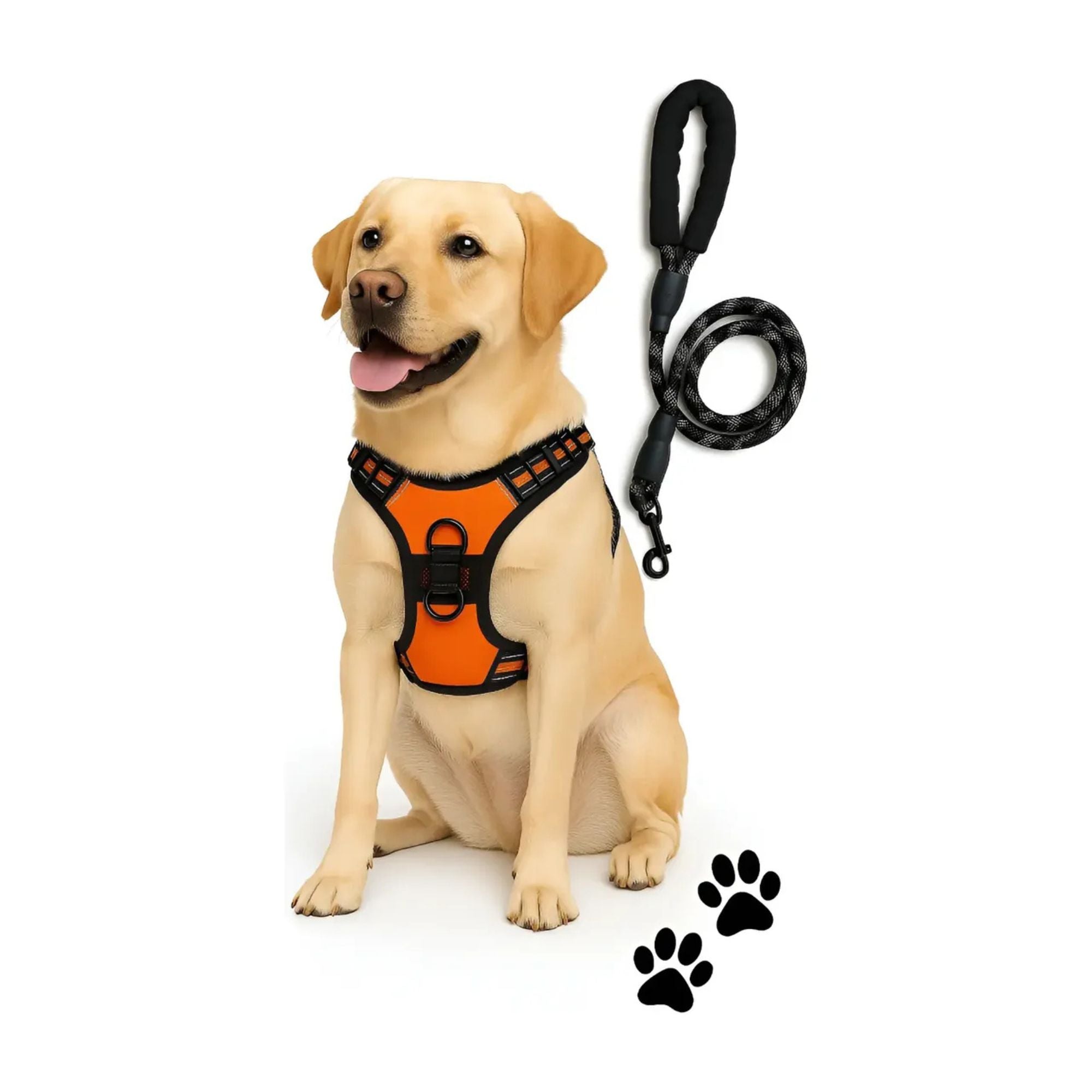 Pechera anti-tirones para perro con correa pretal