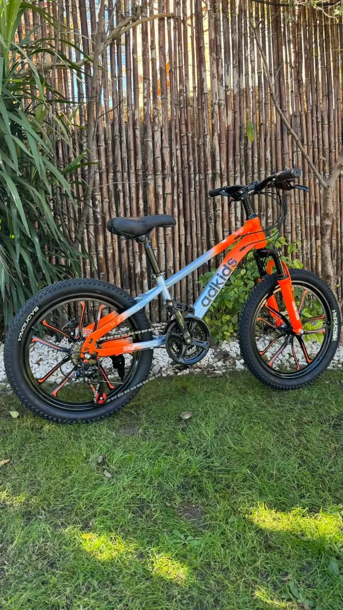 Bicicleta de montaña rodado 20 frenos disco 21 cambios