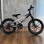 Bicicleta de montaña rodado 20 frenos disco 21 cambios
