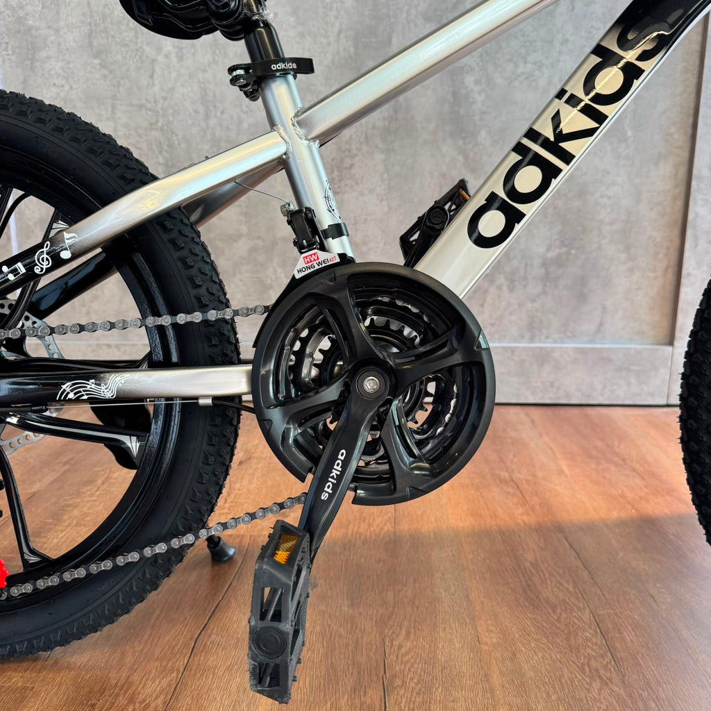 Bicicleta de montaña rodado 20 frenos disco 21 cambios