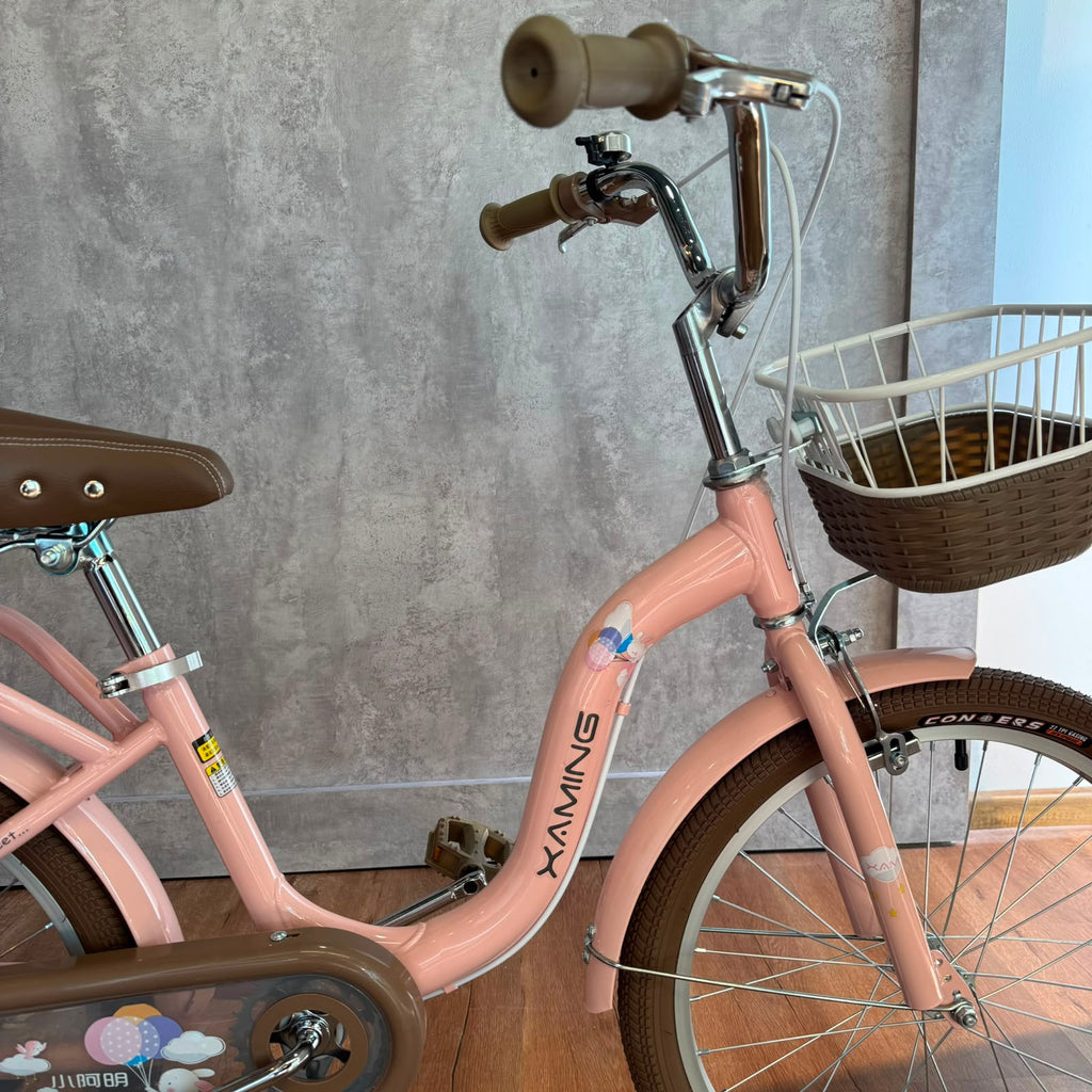 Bicicleta rodado 20 estilo Vintage con rueditas y canasto
