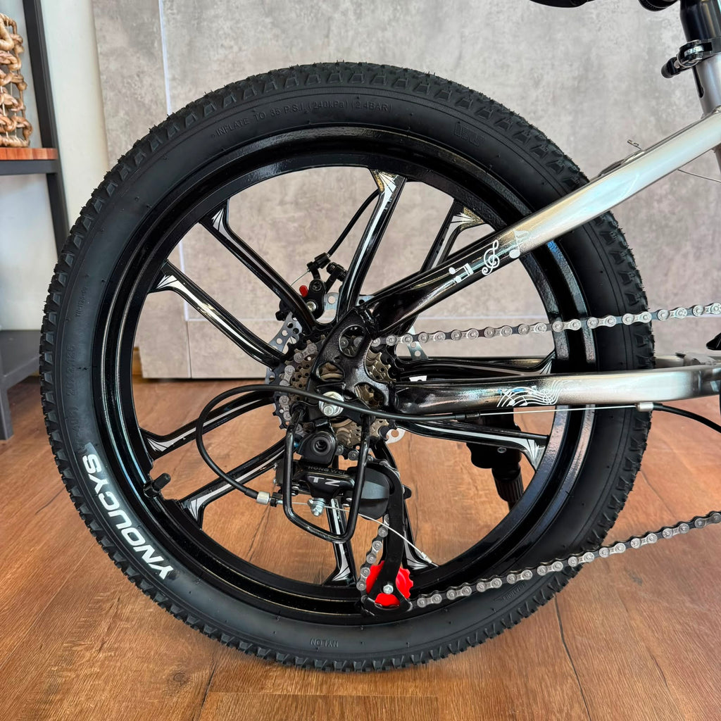Bicicleta de montaña rodado 20 frenos disco 21 cambios